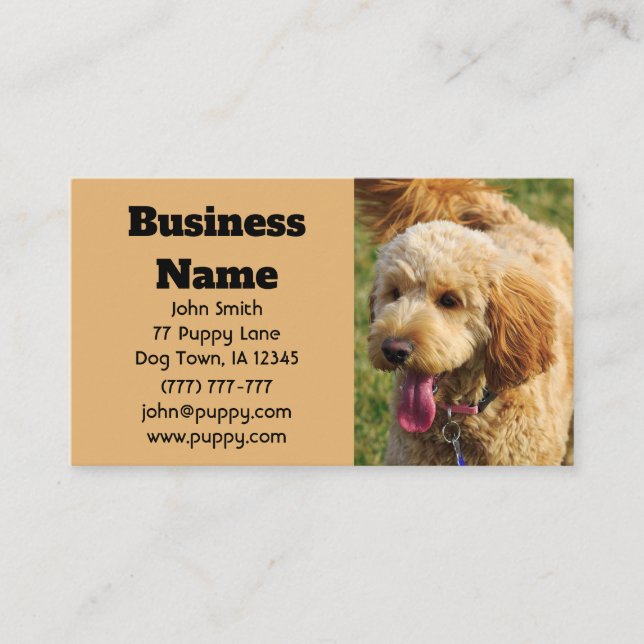 Tarjeta De Visita Perro goldendoodle (Anverso)