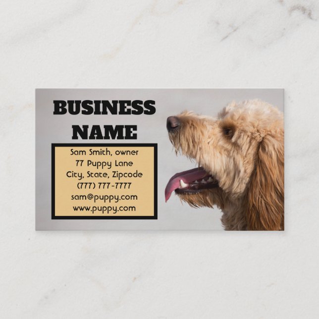 Tarjeta De Visita Perro goldendoodle (Anverso)