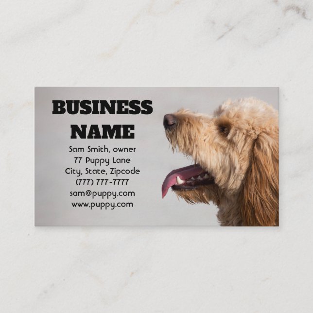 Tarjeta De Visita Perro gris de oro (Anverso)