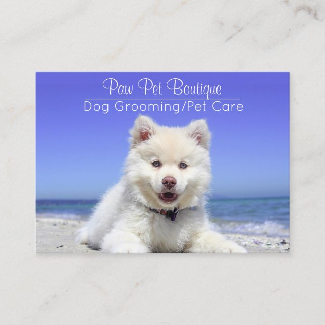 Tarjeta De Visita Perro Groomer Cuidado Mascota Puppy Walker (Anverso)