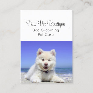 Tarjeta De Visita Perro Groomer Cuidado Mascota Puppy Walker
