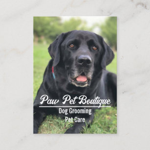 Tarjeta De Visita Perro Groomer Cuidado Mascota Puppy Walker