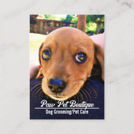 Tarjeta De Visita Perro Groomer Cuidado Mascota Puppy Walker