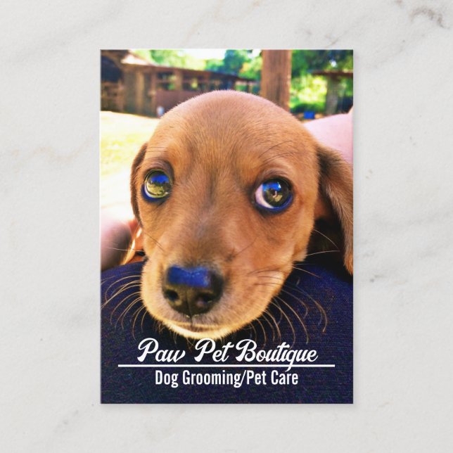 Tarjeta De Visita Perro Groomer Cuidado Mascota Puppy Walker (Anverso)