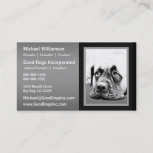 Tarjeta De Visita Perro lindo del mastín