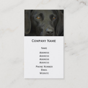 Tarjeta De Visita Perro negro de Labrador
