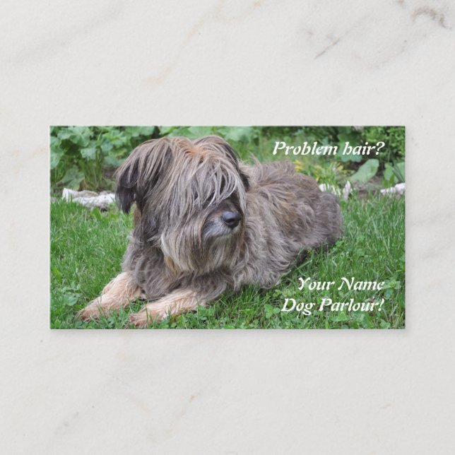 Tarjeta De Visita Perro que prepara el perro pastor melenudo (Anverso)
