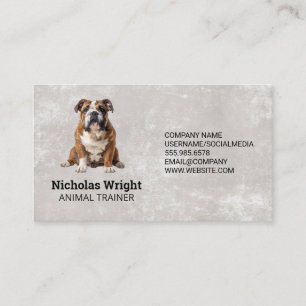 Tarjeta De Visita Perro sentado   Trainer servicios de Groomer