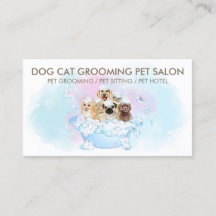 Perros blancos gatos Mascota lindo Grooming