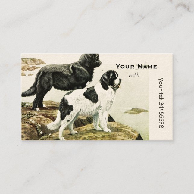 Tarjeta De Visita Perros de Terranova (Anverso)
