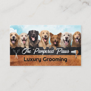 Tarjeta De Visita Perros felices en un grupo
