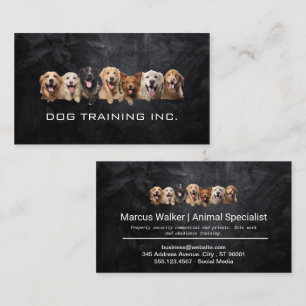 Tarjeta De Visita Perros felices   Entrenador de animales