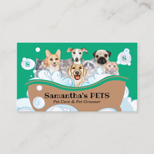 Tarjeta De Visita Perros más guapos Cats Spa Sitter Groom PetCare ve (Anverso)