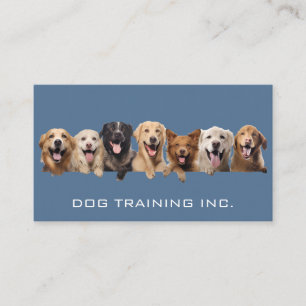 Tarjeta De Visita Perros sonriendo Servicios para animales