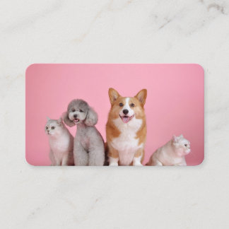 Tarjeta De Visita Perros y gatos