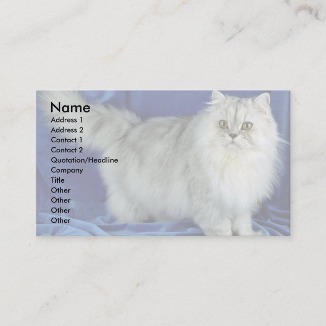 Tarjeta De Visita Persa, estaño (Anverso)