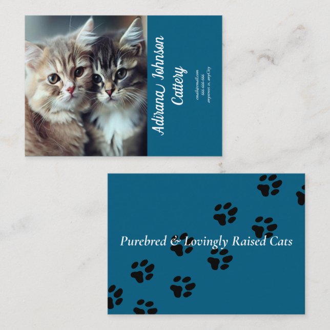 Tarjeta De Visita Personalizable Cattery Business Card Blue Design (Anverso / Reverso)