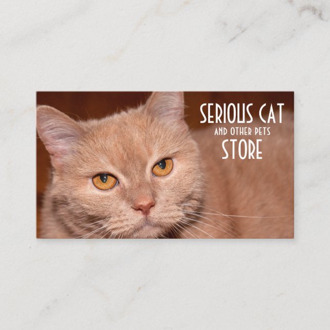 Tarjeta De Visita Personalizable de gato serio y otros mascotas (Anverso)