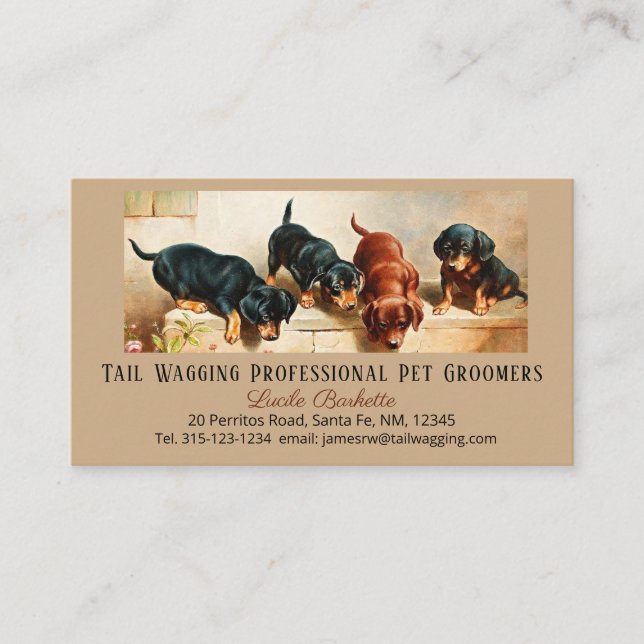 Tarjeta De Visita Personalizado Adorable Cute Dachshund Mascota De C (Anverso)