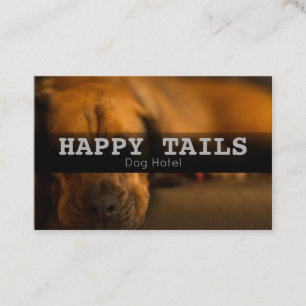 Tarjeta De Visita Personalizado Mascota Embarque Servicios De Sesion