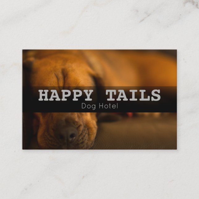 Tarjeta De Visita Personalizado Mascota Embarque Servicios De Sesion (Anverso)