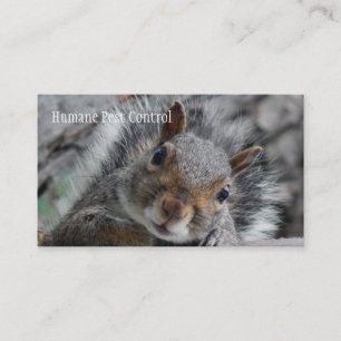 Tarjeta De Visita Pesky Squirrel