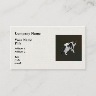 Tarjeta De Visita Pestaña Blanca Con Parches Oscuros