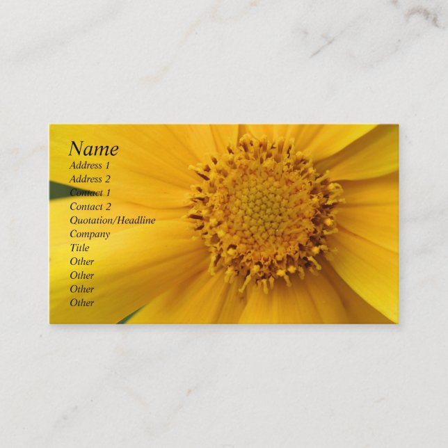 Tarjeta De Visita Pétalos de flores de margarita amarilla (Anverso)