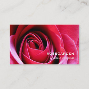 Tarjeta De Visita Pétalos del amor del rosa rojo