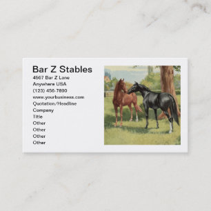 Tarjeta De Visita Picadero ecuestres de la imagen del caballo del