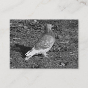 Tarjeta De Visita Pigeon BW
