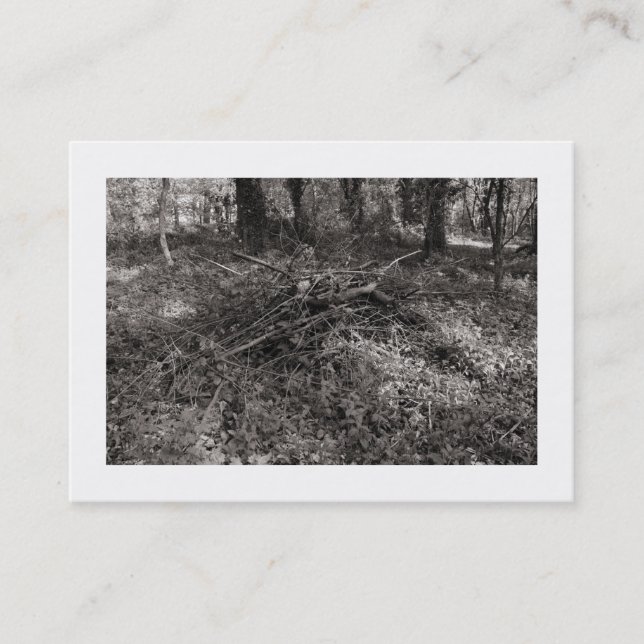 Tarjeta De Visita Pila de garrapatas (bordeada) (Anverso)