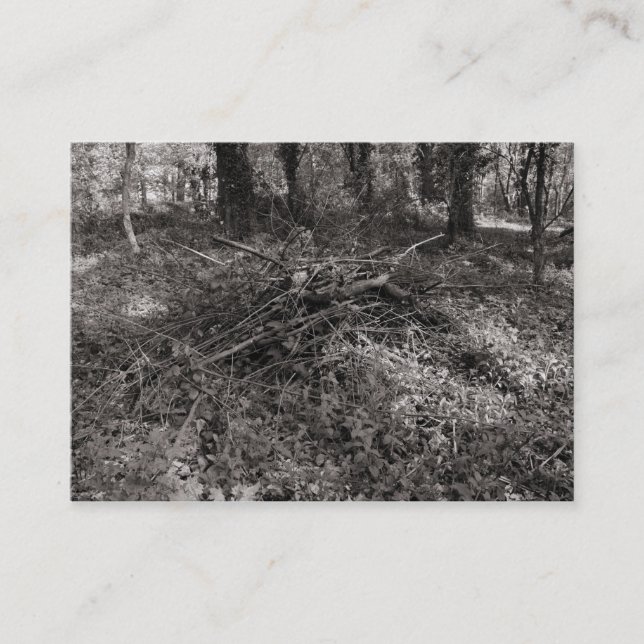 Tarjeta De Visita Pile de Sticks (Anverso)