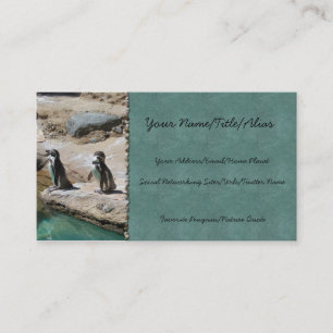 Tarjeta De Visita Pingüinos