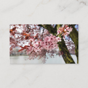 Tarjeta De Visita Pink Cherry Blossoms