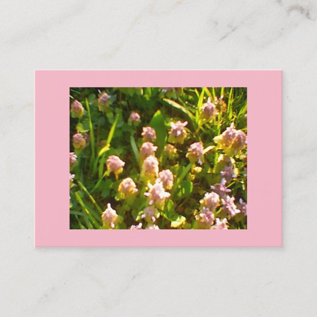 Tarjeta De Visita Pink Clover (Anverso)