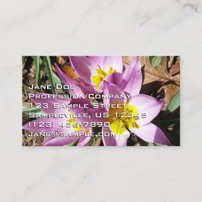Tarjeta De Visita Pink Crocuses Spring Floral (Anverso)