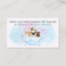 Pink Rubor Blue Dogs gatos Mascota Groomer