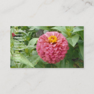 Tarjeta De Visita Pink Zinnia