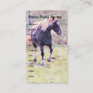 Tarjeta De Visita Pinto Pony