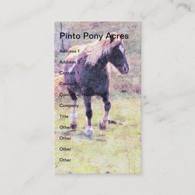 Tarjeta De Visita Pinto Pony (Anverso)