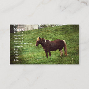 Tarjeta De Visita Pinto Pony