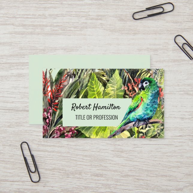 Tarjeta De Visita Pintura acuarela del loro macaico de Hahn (Anverso/Reverso In Situ)