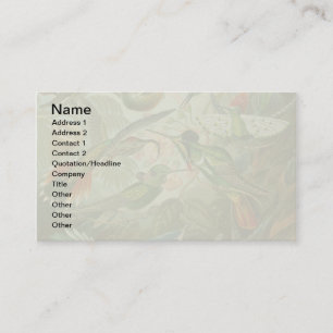 Tarjeta De Visita pintura clásica de la fauna silvestre de comingbir