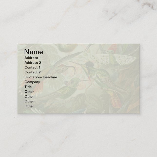 Tarjeta De Visita pintura clásica de la fauna silvestre de comingbir (Anverso)