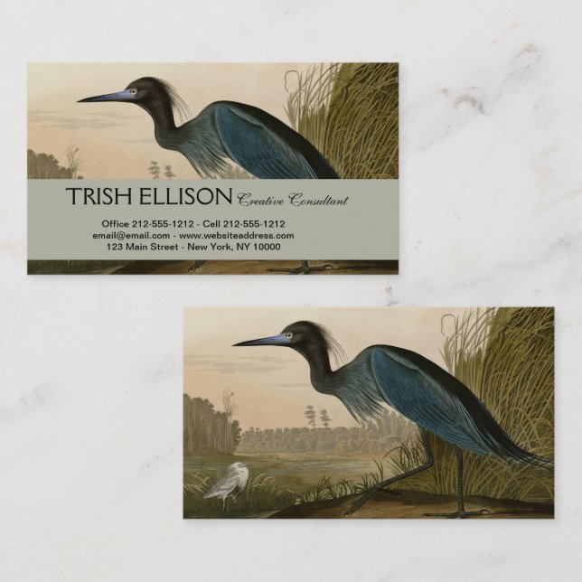 Tarjeta De Visita Pintura de Blue Crane Heron Audubon (Anverso / Reverso)