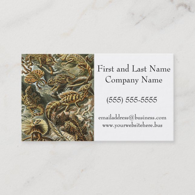 Tarjeta De Visita Pintura de Iguana con barba de Haeckel Lizard (Anverso)