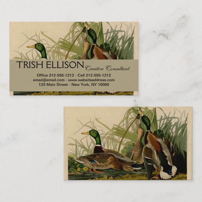 Tarjeta De Visita Pintura de pájaro de Mallard Duck Audubon (Anverso / Reverso)