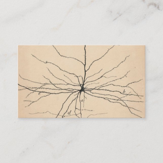 Tarjeta De Visita Piramida Neuron Dibujo Por Santiago Ramón Y Cajal (Anverso)