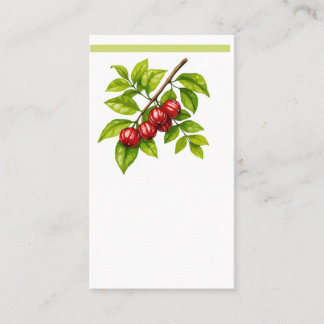 Tarjeta De Visita Pitangueira e Saí-andorinha (Tersina viridis)